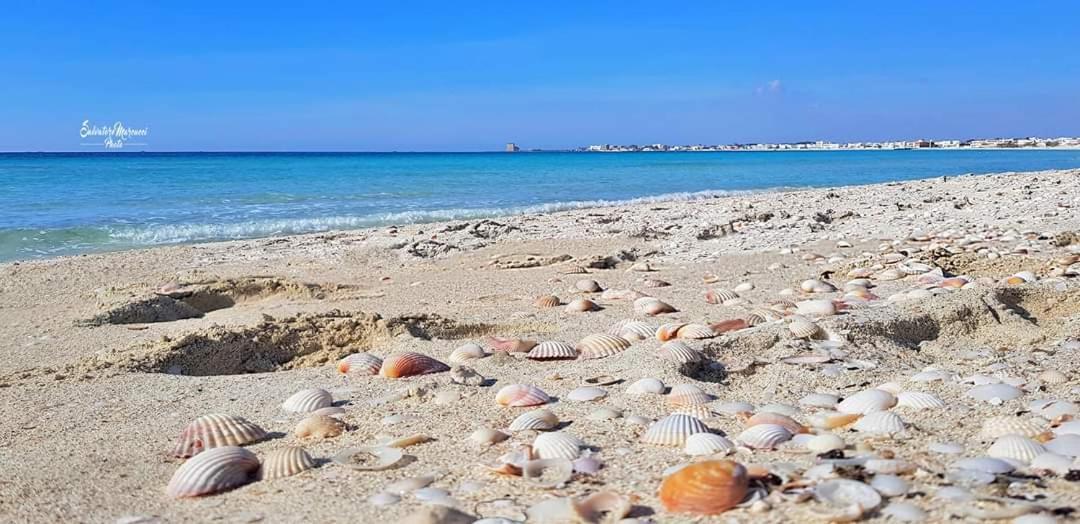 Masseria La Lizza - Ospitalita Rurale Bauernhof *